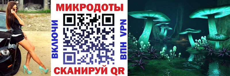 Галлюциногенные грибы Psilocybe  Межгорье 
